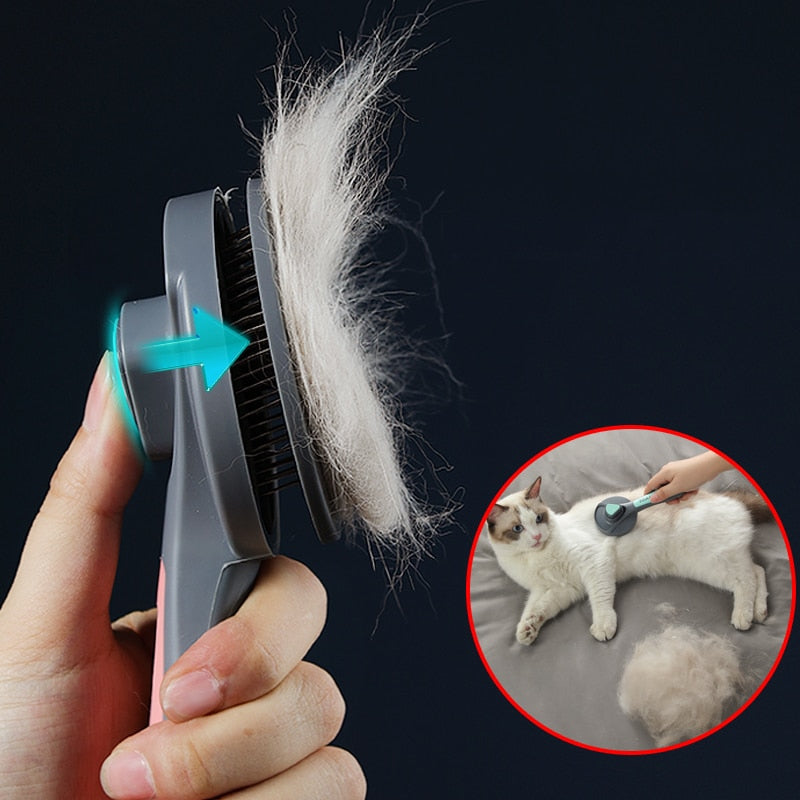 Escova para gatos - Kimpets